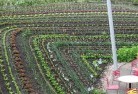 Clare Valleypermaculture-5.jpg; ?>